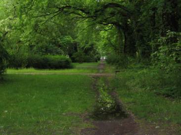 image004